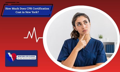 cpr certification cost in new york