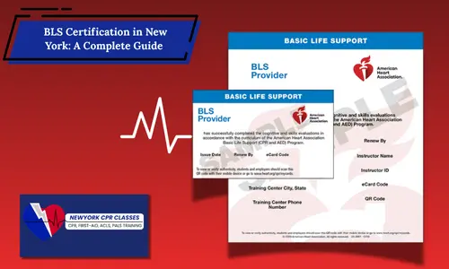 bls certfication new york
