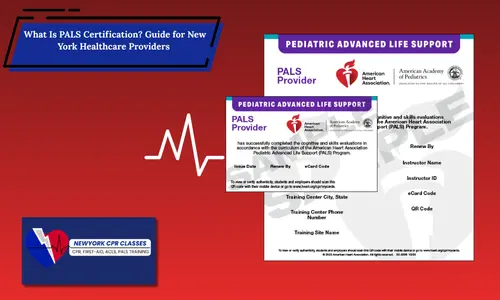pals certification