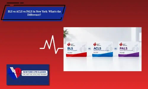 bls vs acls vs pals new york