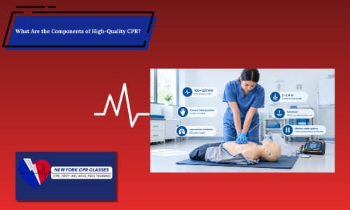 high quality cpr chest compression training
